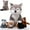 Gray, variant on 5 Pcs Eagle Stuffed Animal Bulk 1 Plush Mommy with 4 Cute Babies Plush Wild Bald Eagles Stuffed Animal Toy for Boys Girls Birders Zoo Gifts