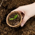 thumbnail image 3 of Ensemble de 10 Pcs Pots de Plantation Portatifs Naturels Biologiques Biodégradables Coupelles de Démarrage de Plantes pour Pépinière Jardin Cour, 3 of 8