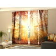thumbnail image 1 of Tiptophomedecor Set of 4 Panel Blinds Beautiful Autumn Sunlight in a Forest, 1 of 6