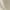 Beige, variant on Mens Short Sleeve Button Up Men Summer Shirts Button Up Mens Shirts Short Sleeve Summer Dress Shirt Sales Today Clearance