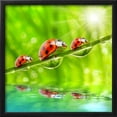 thumbnail image 2 of Funny Picture Of The Ladybugs Family Running On A Grass Bridge Over A Spring Flood, Animals Botanical Scenic Framed Art Print Wall Art by Kletr Sold by Art.Com, 2 of 3