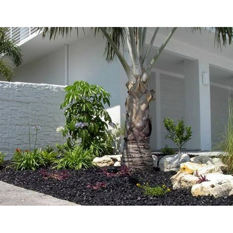 Dragon Glass 20 lb Black Landscape & Fire Pit Glass, 1/2 Dragon Glass 20 lb Black Landscape & Fire Pit Glass, 1/2