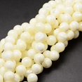 thumbnail image 1 of Natural Sea Shell Beads Strands Round Creamy White 10mm Hole: 1mm about 40pcs/strand 15.75 inch, 1 of 3