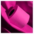 thumbnail image 2 of Pink Toilet Paper 6 Rolls Pack, 140 Sheets - Renova 5-Pack Decorative Bathroom Tissue, 3-Ply Soft & Strong, Eco-Friendly, Sandalwood Scented Core, 2 of 7