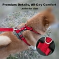 thumbnail image 4 of Plutus Pet Adjustable No Pull Dog Harness with Leather Accents, Heavy Duty Reflective Nylon, Red, M (18 to 24 Chest Size), 4 of 8