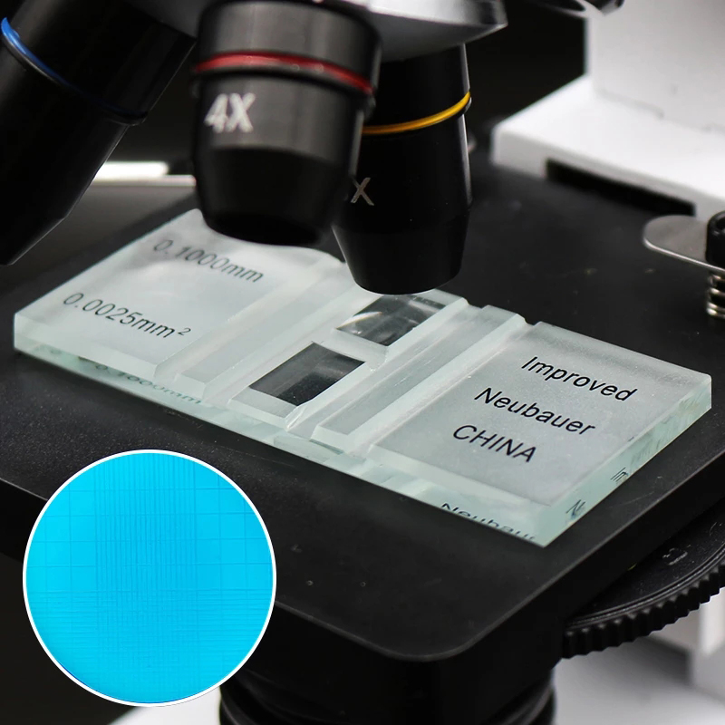 What Is A Microscope Counting Chamber? – RASD