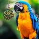 thumbnail image 3 of Greeniant Juguetes para loros, colores brillantes, opción segura y confiable para loros, pájaros, loros, cuerda de algodón, bola de cadena Juguetes para pájaros, 3 of 6