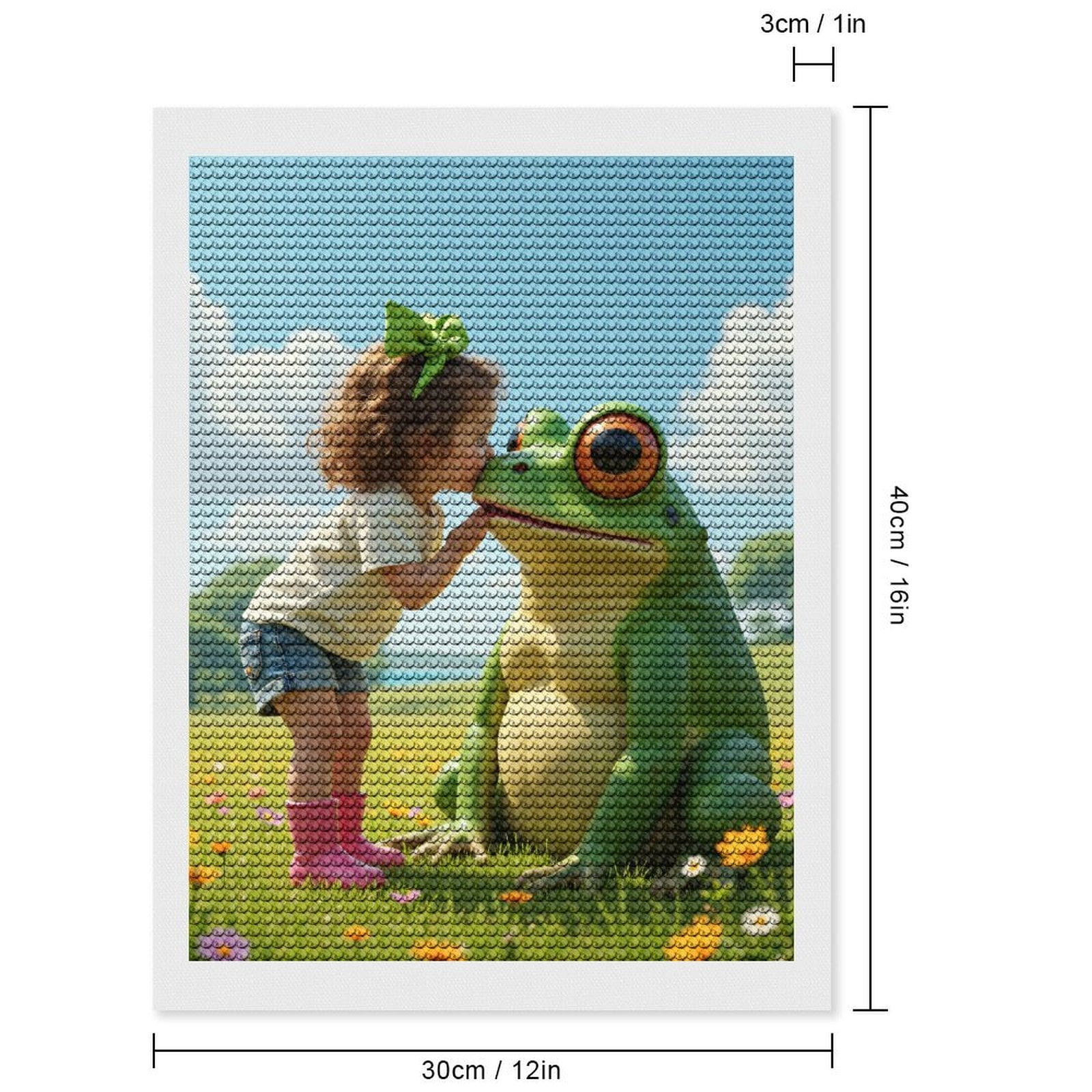 Diamond Art Kits for Adults, Kissing Giant Frog Outdoors 5D Diamond Painting Kits for Adults Beginners, DIY Full Drill Diamond Painting, Gem Art and Crafts 12x16
