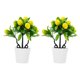 thumbnail image 1 of HOMEMAXS 2 piezas de plantas artificiales para el hogar, decoración de árbol de limón falso, adornos de bonsái de simulación HOMEMAXS 14370431, 1 of 6