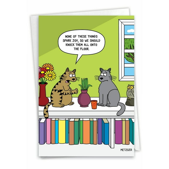 1 Funny Birthday Card with Envelope - Cat Spark Joy C7297BDG