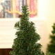 thumbnail image 5 of 10 miniárboles de Navidad artificiales con base de lino, adornos realistas para escritorio (30 cm), 5 of 5