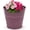 Plum, variant on Headwind IronLite Ensley – 6" Antique White Decorative Metal Planter with High‑Gloss Embossed Design – Indoor Plant Pot with Drainage Hole & Modern Round Style for Home & Outdoor Use by Robert Allen