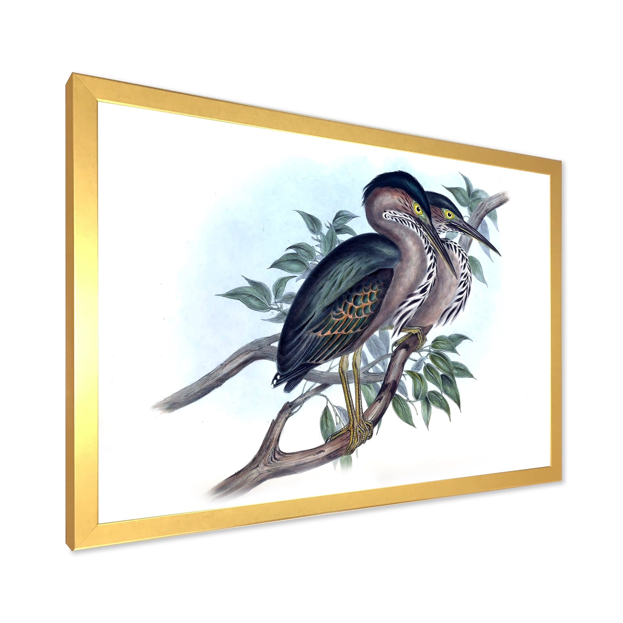 Designart 'Ancient Australian Birds VII' Traditional Framed Art Print