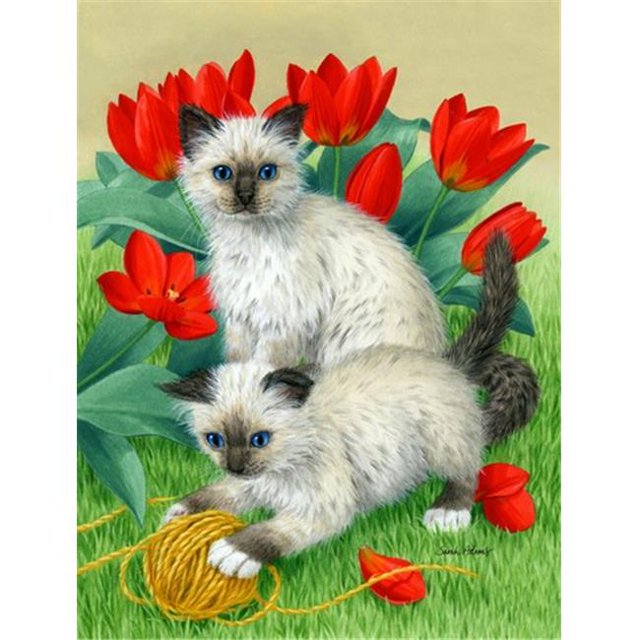 Carolines Treasures ASA2125CHF Birman Kittens Flag Canvas House Size
