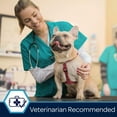 thumbnail image 3 of Morton Safe-T-Pet Salt and Chloride Free Snow and Ice Melt, 8 Pound Jug, 3 of 8