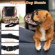 thumbnail image 3 of Bozal para Perro Pequeño a Prueba de Mordidas Diseño de Malla Transpirable Ajustable Color Naranja, 3 of 7