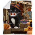 thumbnail image 1 of Couverture de Chat Smoking Halloween "Entrée à Vos Risques Ou Attrape" BLNKT97248, 1 of 2