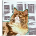thumbnail image 1 of ARTCANVAS Ragamuffin Cat Breed Canvas Art Print - Size: 36" x 36" (1.50" Deep), 1 of 9