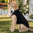 thumbnail image 3 of StlyGar Solid Black Dog Tuxedo Harness Vest, Pet Wedding Suit with Black Bow Tie, Formal Puppy Costume for Party Holiday Outdoor(L), 3 of 4