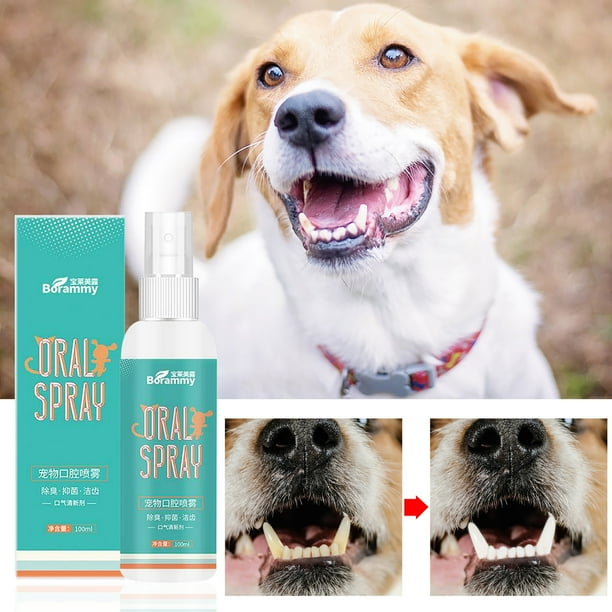 Dog hotsell oral spray