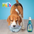 thumbnail image 2 of Fancy Pets Kit Dental para perro con 5 piezas, 2 of 5