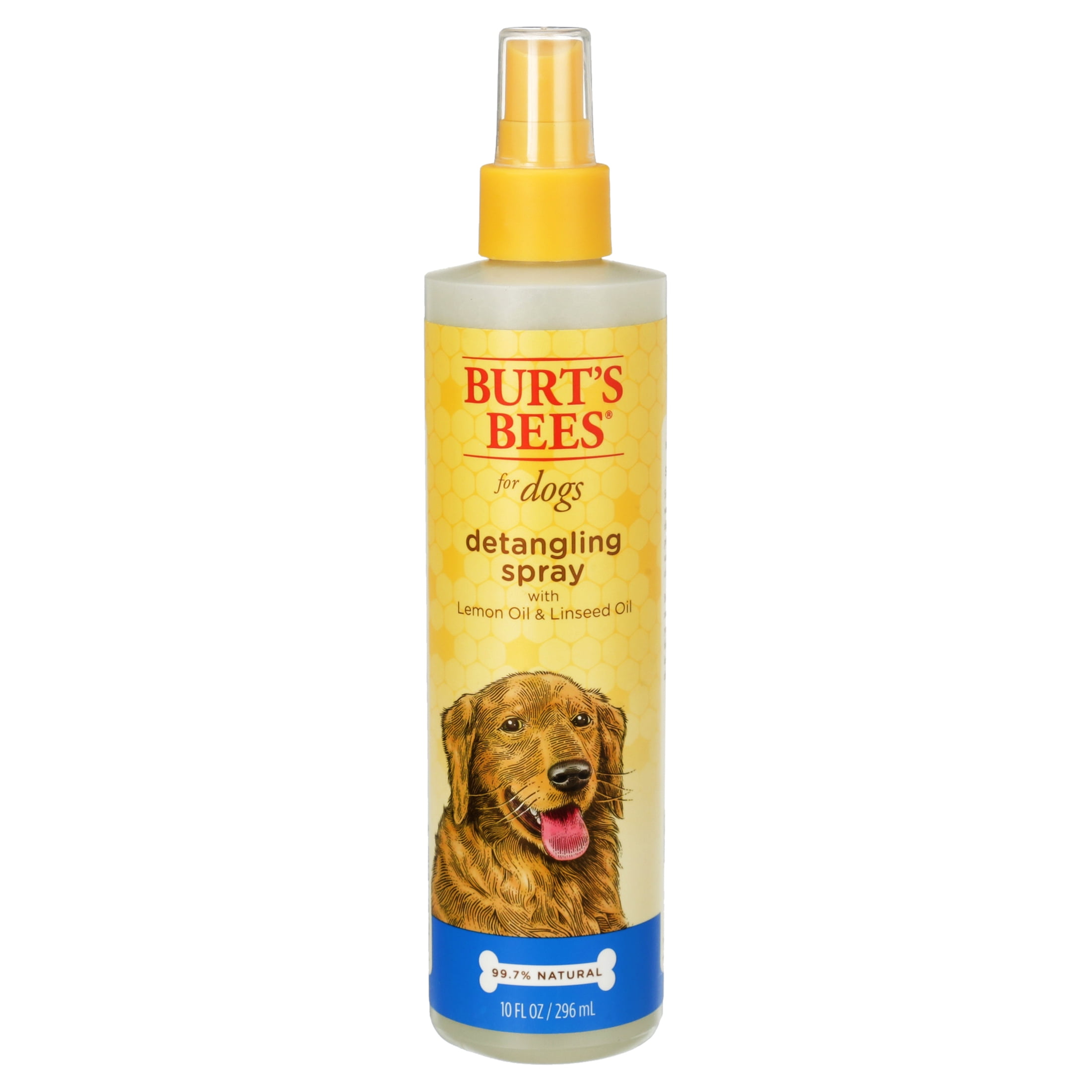 busy bone for dogs