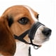 thumbnail image 1 of Rodillera para perro, soporte quirúrgico para lesiones, envoltura articular, cura heridas caninas, artritis frontal, previene perros, suministros médicos, 1 of 4