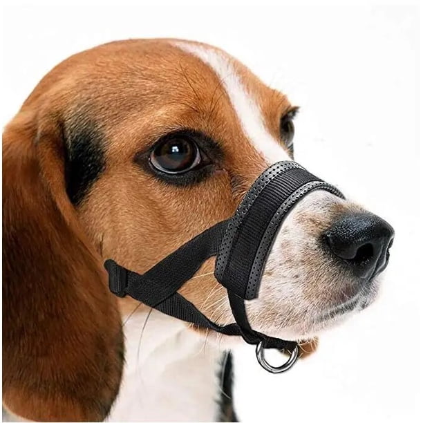 Rodillera para perro, soporte quirúrgico para lesiones, envoltura articular, cura heridas caninas, artritis frontal, previene perros, suministros médicos