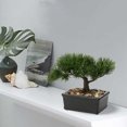 thumbnail image 6 of GnFlus 6 inch Artificial Bonsai Tree Juniper Faux Plants Indoor Small Fake Plants Decor with Ceramic Pots for Office Desk Table Home Decor, 6 of 7