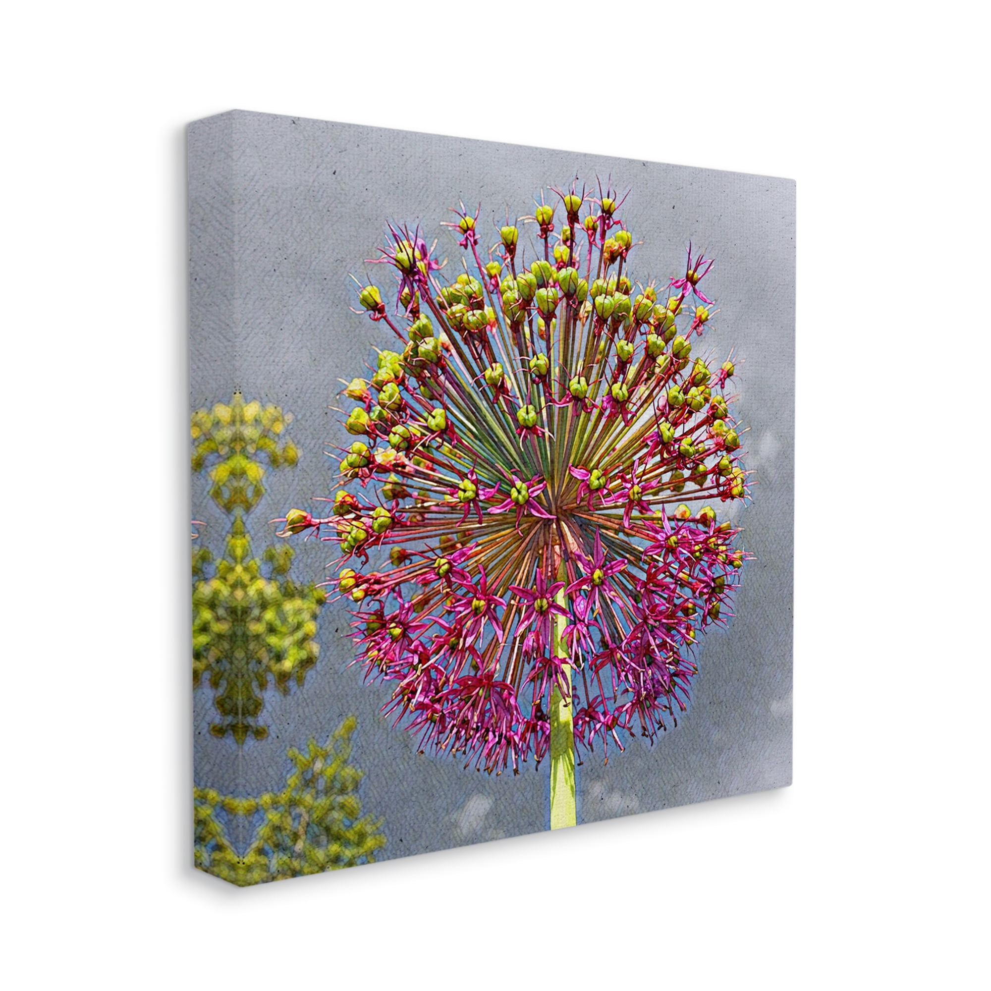 Stupell Modern Dandelion Pink Abstract Botanical & Floral Painting Gallery Wrapped Canvas Print Wall Art