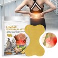 thumbnail image 3 of 12PCS Ginger Lumbar Patch Body Health Patch For Neck And Knee Discomfort, 3 of 8