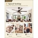 thumbnail image 3 of Ventilador de Techo Fanbulous 48" Rústico Estilo Campestre con Luz, 3 of 8