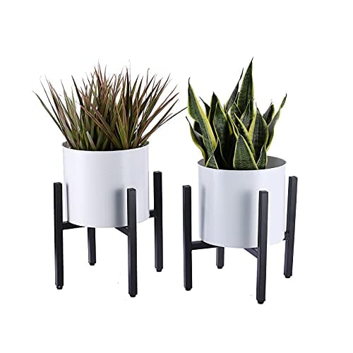 indoor black plant stand