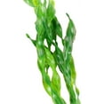 MyLifeUNIT Artificial Seaweed Water Plants for Aquarium, Plastic Fish