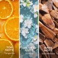 thumbnail image 2 of Nautica Coastal Crush Tangerine Squeeze Body Mist, Fruity Citrusy Gourmand Fragrance Hair & Body Mist for Women, 8oz, 2 of 9
