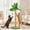 Green, variant on Multi-Level Cat Tower with Condo, Perches, Sisal Scratching Posts and Climbing Ladder for Indoor Cats, Beige