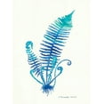 thumbnail image 2 of Babbitt, Gwendolyn 12x14 Black Ornate Wood Framed with Double Matting Museum Art Print Titled - Ombre Fern II, 2 of 4