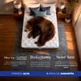 thumbnail image 2 of Colchón Queen Size Ortopédico Spring Air Sleeper, 2 of 7