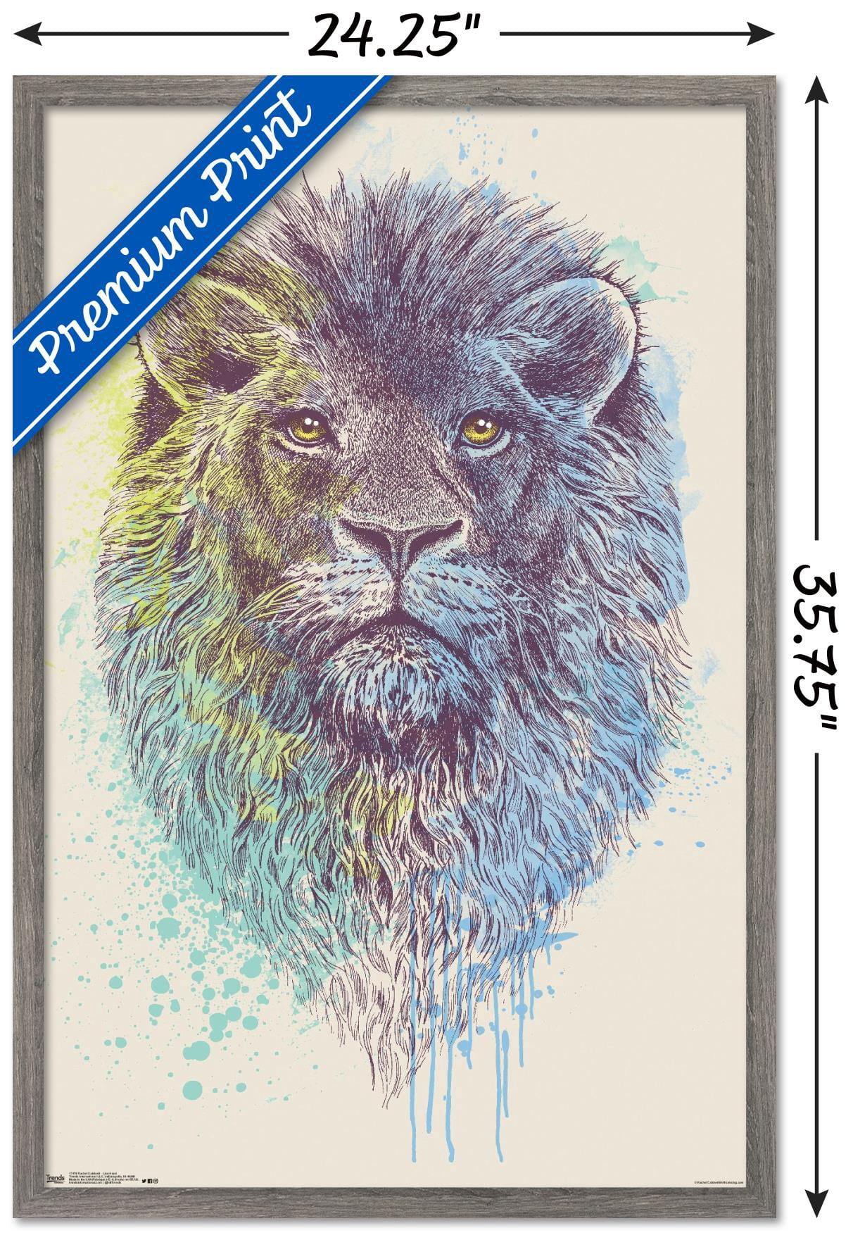Rachel Caldwell - Lion Head Wall Poster, 22.375" x 34", Framed