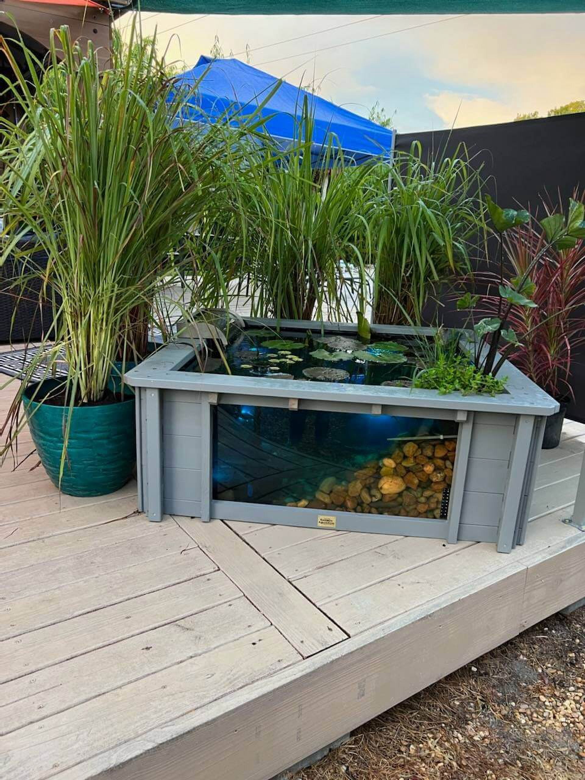 Raised Square Wood Pond with Large Windows Lotus Clear View Garden Aquarium in Green - 172 Gallons