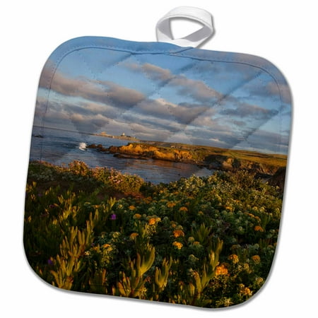 - 3dRose Piedras Blancas Lighthouse, Big Sur, California - US05 CHA0148 - Chuck Haney - Pot Holder, 8 by 8-inch