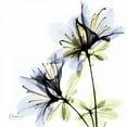 thumbnail image 2 of Koetsier, Albert 26x26 White Modern Wood Framed Museum Art Print Titled - Blue Twin Azalea in Bloom, 2 of 4