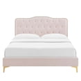 thumbnail image 4 of Modway Lit Plateforme Simple en Velours de Performance Capitonné Ambre, Rose, 4 of 11