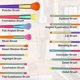 thumbnail image 3 of 15-Pack Colorful Travel Makeup Brush Set - Professional Powder, Eye Shadow Brushes, 3 of 5
