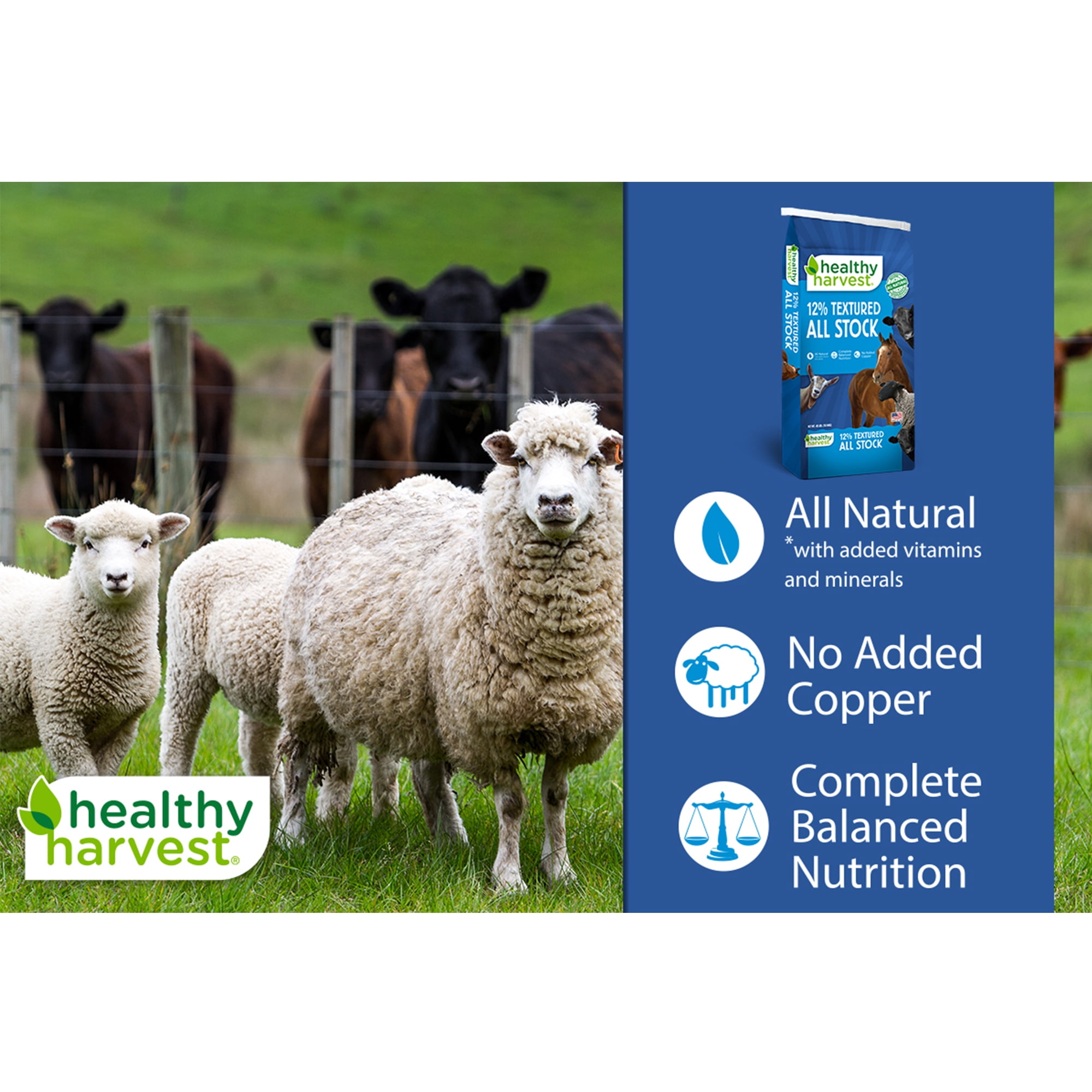 (4 pack) Healthy Harvest 12% Textured All Stock Feed for Multiple Livestock Species, 40 lb Bag