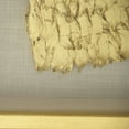 thumbnail image 2 of Zentique ZEN30476AG 35.5 x 19.75 x 1.75 in. Golden Wing Right Frame, Feathers on Linen& Fir Wood Frame, 2 of 2