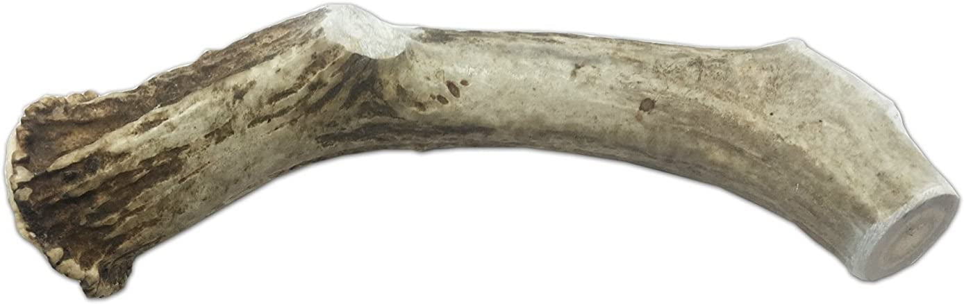XXL Jumbo Deer Antler for Dogs, for The Big Chewer - Premium Grade A Deer Antler Dog Chew - Long Lasting Dog Treat for Your Pet. Made in USA