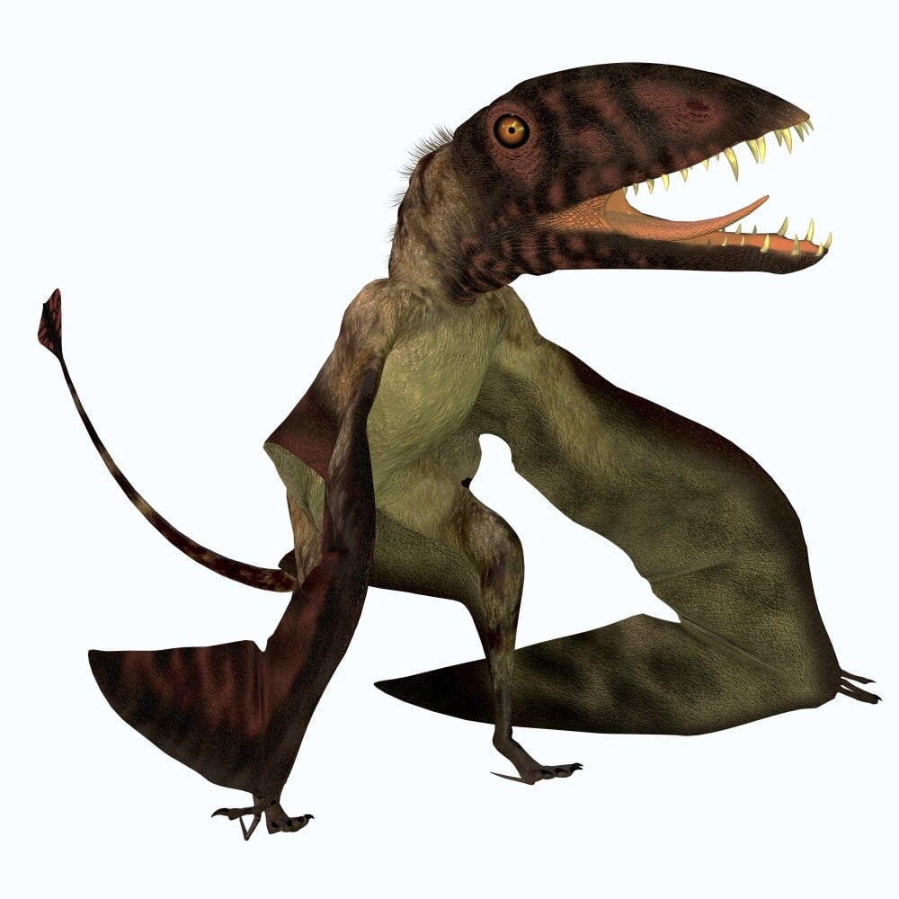 tiny carnivorous dinosaur
