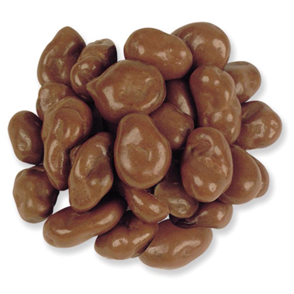 Brach's Chocolate Covered Raisins, 7.5 Lb.