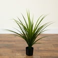 thumbnail image 4 of Nearly Natural 2ft. UV Resistant Artificial Grass Plant (Indoor/Outdoor), 4 of 5